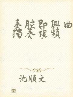 秦腔即兴曲板胡独奏视频