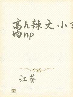 高h辣文小说纯肉np