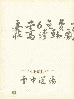 妻子6免费完整版高清韩剧封面