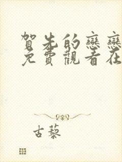 贺先的恋恋不忘免费观看在线观看封面