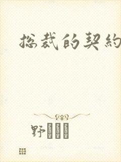 总裁的契约情人