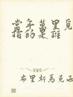 当年万里觅封侯指的是谁