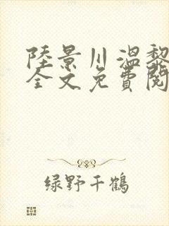 陆景川温黎小说全文免费阅读