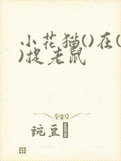 小花猫()在()捉老鼠