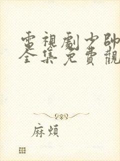 电视剧少帅48全集免费观看在线云