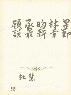 顾承昀林星禾小说最新章节免费阅读