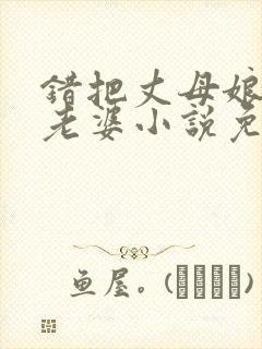 错把丈母娘当成老婆小说免费阅读