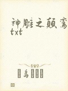 神雕之颠鸾倒凤txt封面