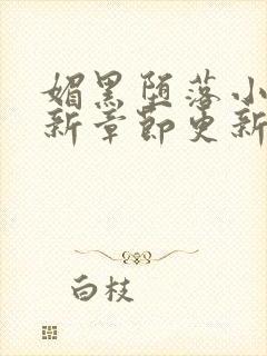 媚黑堕落小说最新章节更新时间