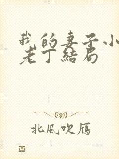 我的妻子小谨和老丁结局