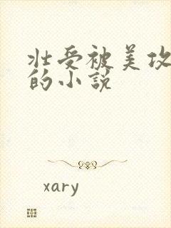 壮受被美攻嫌弃的小说