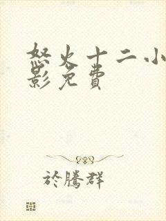 怒火十二小时电影免费