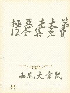 极恶老大第二季12全集免费观看