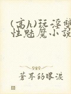 (高h)玩淫双性魅魔小说