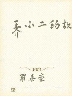 王小二的故事简介封面