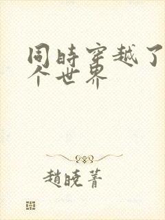 同时穿越了99个世界