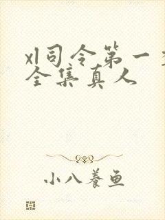 xl司令第一季全集真人