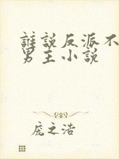 谁说反派不能做男主小说