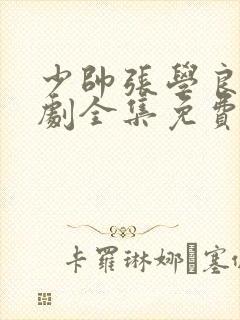 少帅张学良电视剧全集免费观看90封面