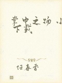 掌中之物 小说 下载封面