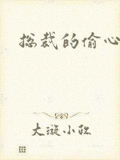 总裁的偷心娇妻封面