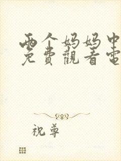 两个妈妈中文版免费观看电视剧全集