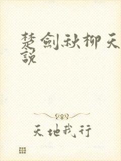 楚剑秋柳天瑶小说