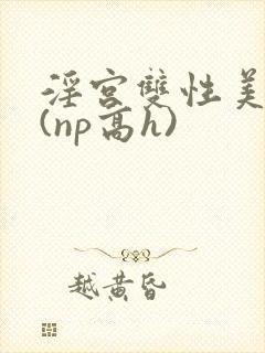 淫宫双性美人录(np高h)