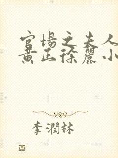 官场之夫人之路黄正徐丽小说免费阅封面