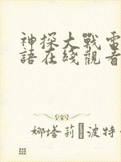 神探大战电影国语在线观看免费完整版