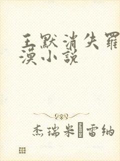 王默消失罗丽冷漠小说