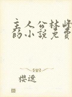 主人公林峰宁欣的小说免费阅读