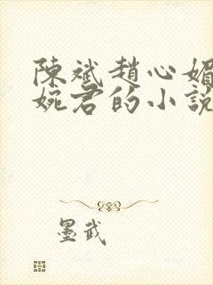 陈斌赵心媚和高婉君的小说封面