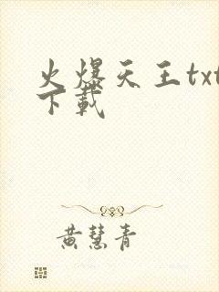 火爆天王txt下载