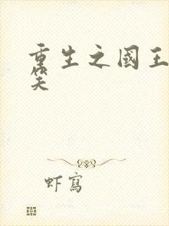 重生之国王的微笑