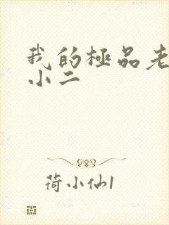 我的极品老婆 小二封面