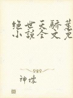 绝世天骄叶凌天小说全文免费阅读封面