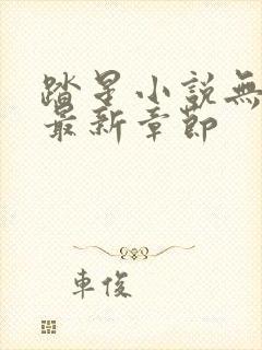 踏星小说无弹窗最新章节