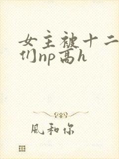 女主被十二神明们np高h