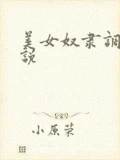 美女奴隶调教小说封面