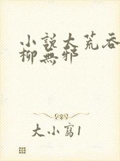 小说太荒吞天诀柳无邪