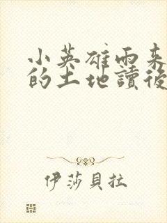 小英雄雨来愤怒的土地读后感