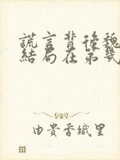 谎言背后魏虹的结局在第几集封面