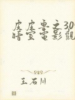 皮皮鲁之309暗室电影观看