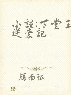 小说:下堂王妃逆袭记封面