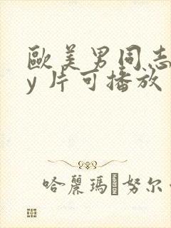 欧美男同志gay 片可播放