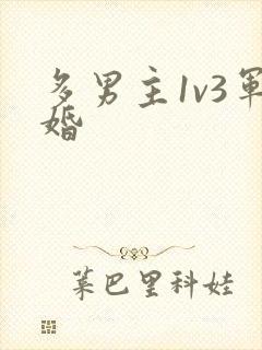 多男主1v3军婚