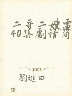二哥二嫂电视剧40集剧情简介