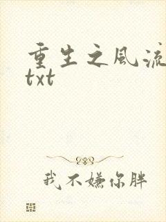 重生之风流仕途txt