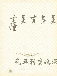 完美有多美没看懂